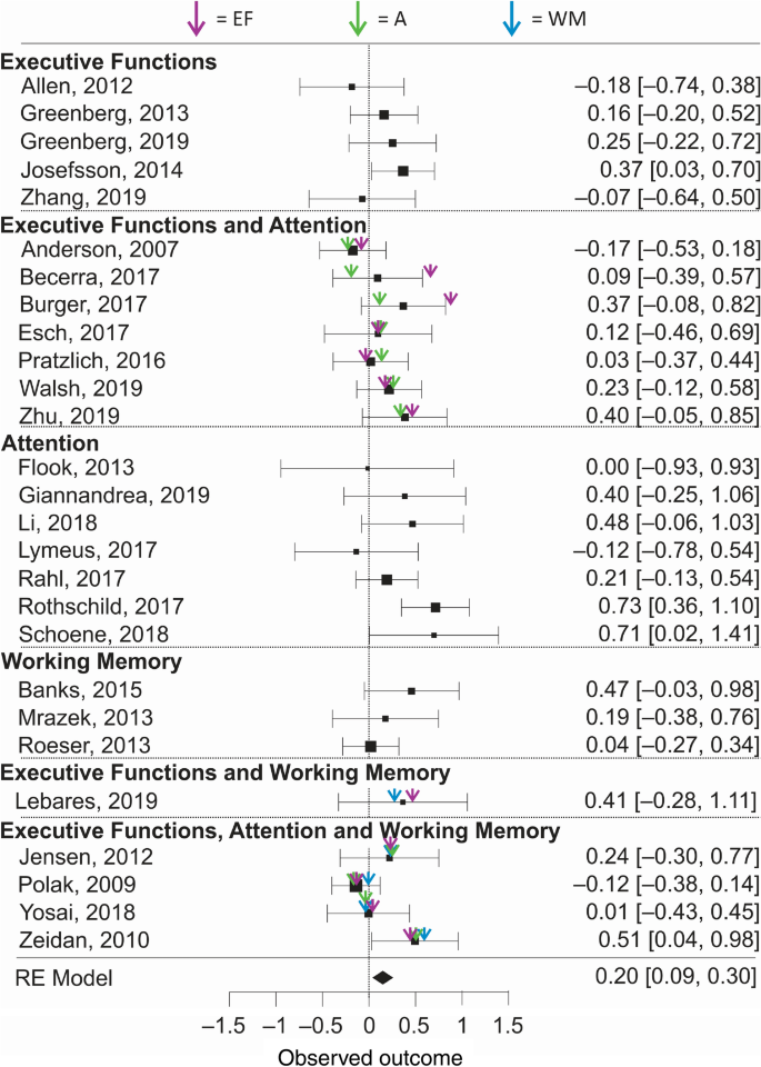 The Effects Of Mindfulness Meditation On Attention Executive Control And Working Memory In Healthy Adults A Meta Analysis Of Randomized Controlled Trials Springerlink