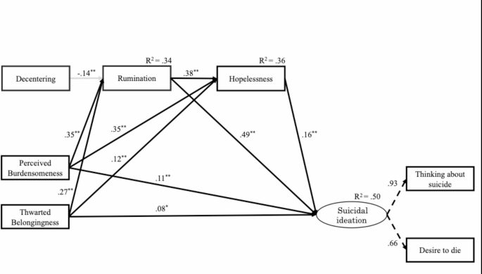 Examination of the Effects of Response Styles on the Relationship ...
