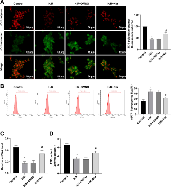 glutathione sex drive Can Reduced Glutathione Support Detoxification and Energy in Long COVID and ME/CFS?