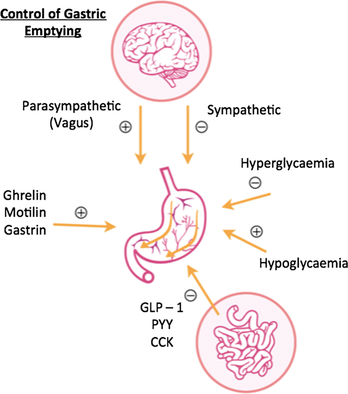 diabetic gastroparesis pathophysiology