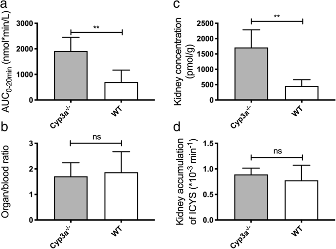 Extrahepatic Metabolism Of Ibrutinib Springerlink