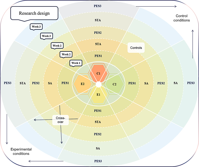 validity and reliability research example figure 3