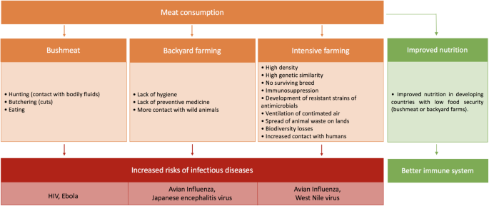 Infectious Diseases and Meat Production | SpringerLink Infectious Diseases and Meat Production | SpringerLink