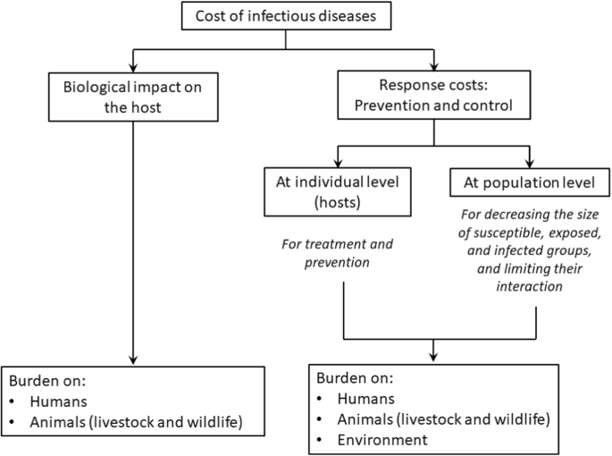 Infectious Diseases and Meat Production | SpringerLink Infectious Diseases and Meat Production | SpringerLink