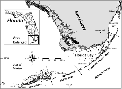 Using local fishers' knowledge to characterize historical trends in the  Florida Bay bonefish population and fishery