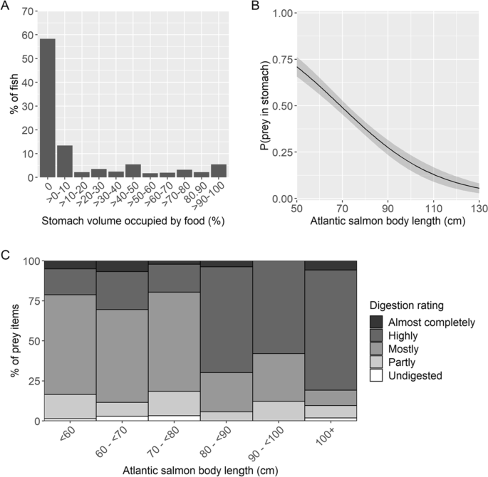 Diving and feeding of adult Atlantic salmon when migrating through the  coastal zone in Norway | SpringerLink