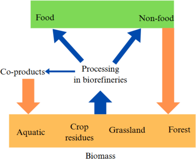 Enhancing efficiency in secondary biomass supply: the role of ...