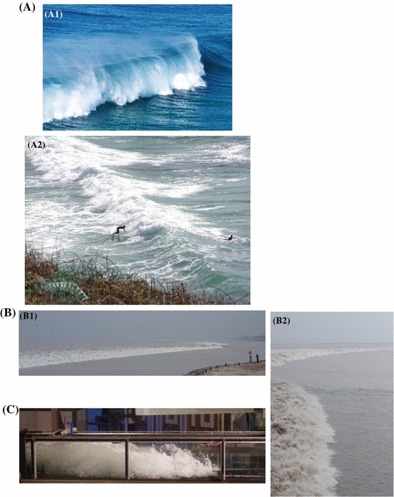 Are Breaking Waves Bores Surges And Jumps The Same Flow Springerlink Are Breaking Waves Bores Surges And Jumps The Same Flow Springerlink