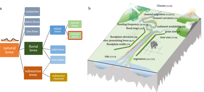 Fluvial levees in compound channels: a review on formation processes and  the impact of bedforms and vegetation | Environmental Fluid Mechanics