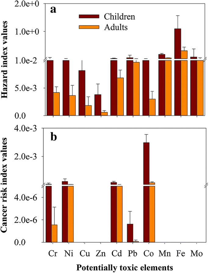 Health risk assessment of potentially toxic elements in the dry