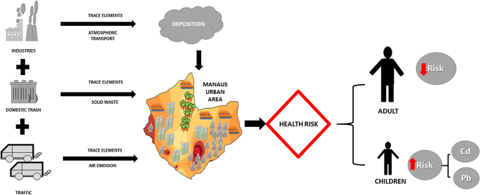 Health risks of potentially toxic trace elements in urban soils of Manaus  city, Amazon, Brazil | SpringerLink