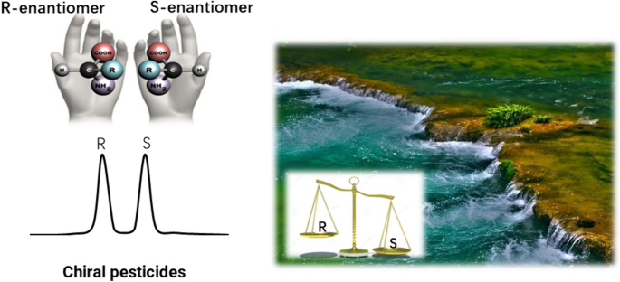 A review on the enantioselective distribution and toxicity of chiral ...