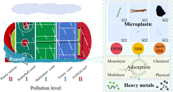Occurrence, ecological risk of microplastics in campus athletic fields ...