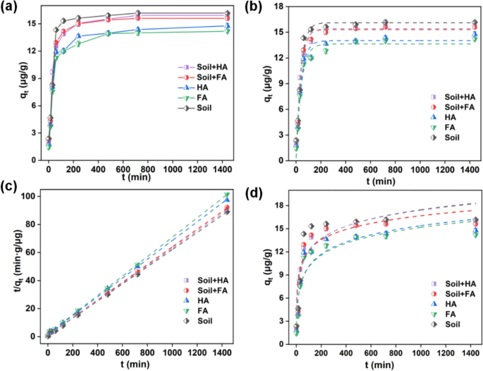 Influence of different types of humic substances on the adsorption ...
