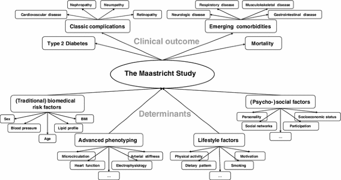 The Maastricht Study An Extensive Phenotyping Study On Determinants Of Type 2 Diabetes Its Complications And Its Comorbidities Springerlink
