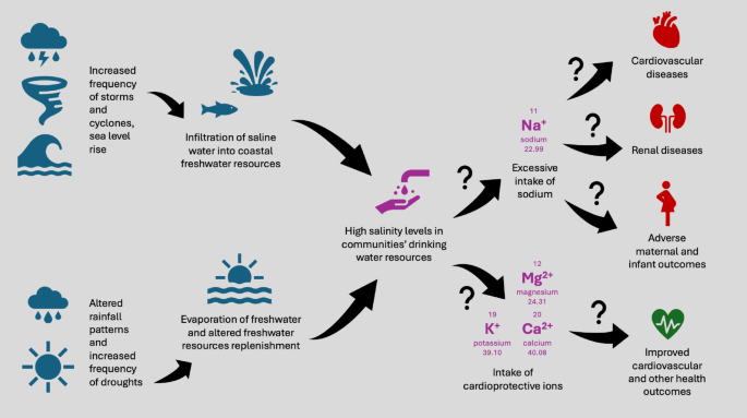 Adverse health outcomes associated with drinking highly saline water: a ...