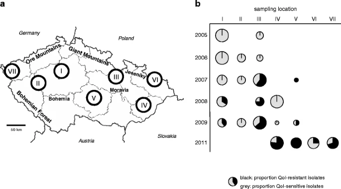 Population genetic structure of Mycosphaerella graminicola and Quinone Outside Inhibitor (QoI) resistance in the Czech Republic