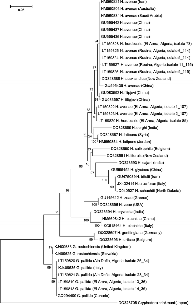 figure 11