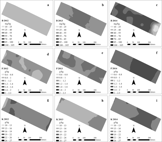 Spatio Temporal Aspects Of Brown Eye Spot And Nutrients In Irrigated Coffee Springerlink