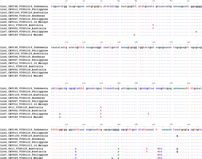 The Development Of A Multiplex Pcr Assay For The Detection Of Fusarium Oxysporum F Sp Cubense Lineage Vi Strains In East And Central Africa Springerlink