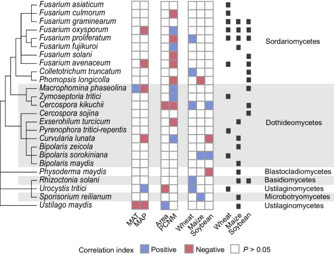 Frontiers  Characterization of fungal pathogens and germplasm