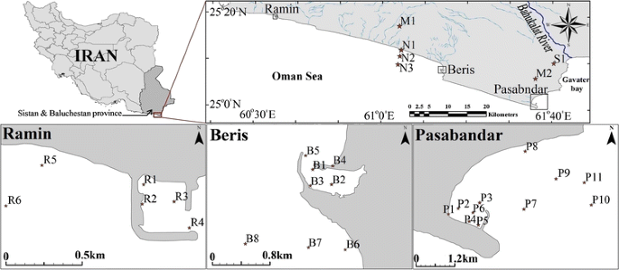 Effect Of Fishing Vessels On Trace Metal Contamination In Sediments Of Three Harbors Along Iranian Oman Sea Coast Springerlink Effect Of Fishing Vessels On Trace Metal Contamination In Sediments Of Three Harbors Along Iranian Oman Sea Coast Springerlink