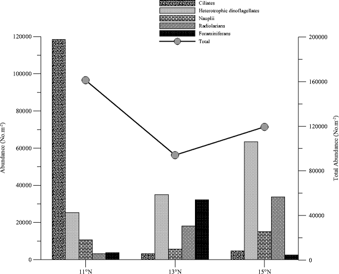 figure 11