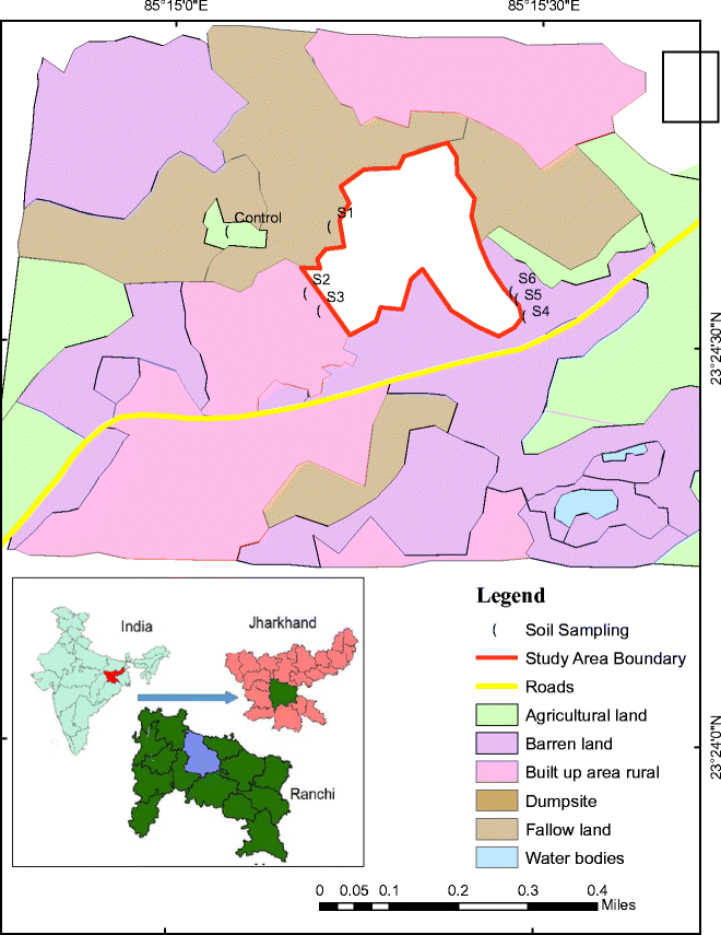 Effects Of Open Dumping Of Msw On Metal Contamination Of Soil Plants And Earthworms In Ranchi Jharkhand India Springerlink