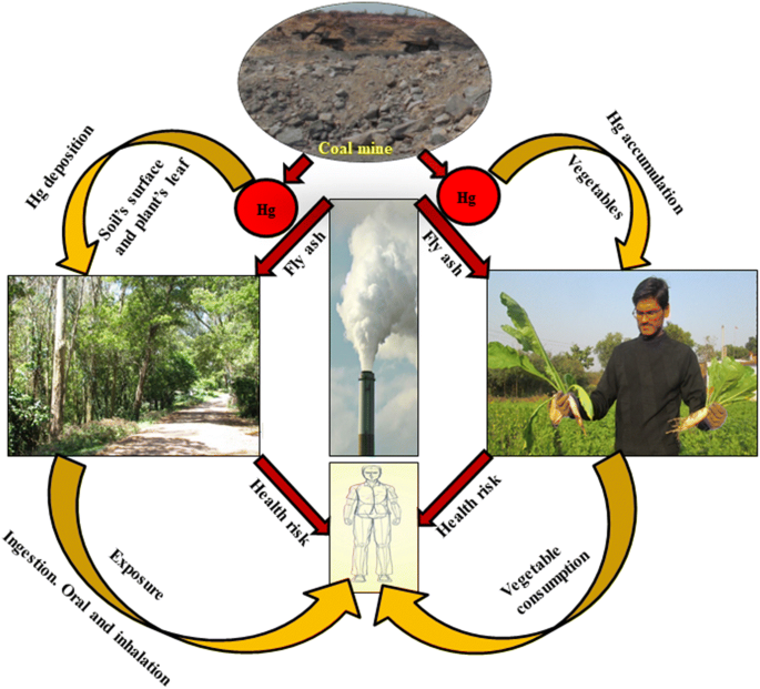 Sources Toxicity And Remediation Of Mercury An Essence Review Springerlink