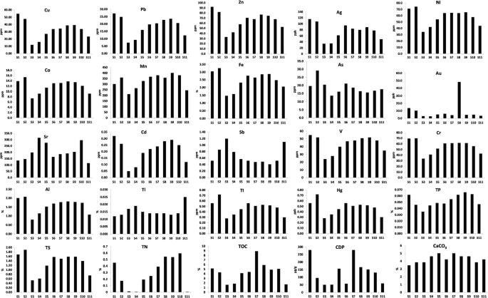 Ecological Risk Assessment Of Surface Sediments Of Cardak Lagoon Along A Human Disturbance Gradient Springerlink