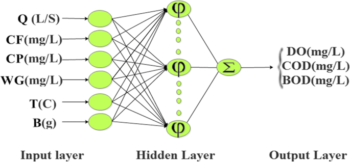 Modeling Oxygen And Organic Matter Concentration In The Intensive Rainbow Trout Oncorhynchus Mykiss Rearing System Springerlink