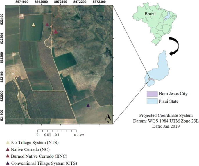 C And P Pool Restoration By A No Tillage System On Brazilian Cerrado Oxisol In Piaui State Springerlink
