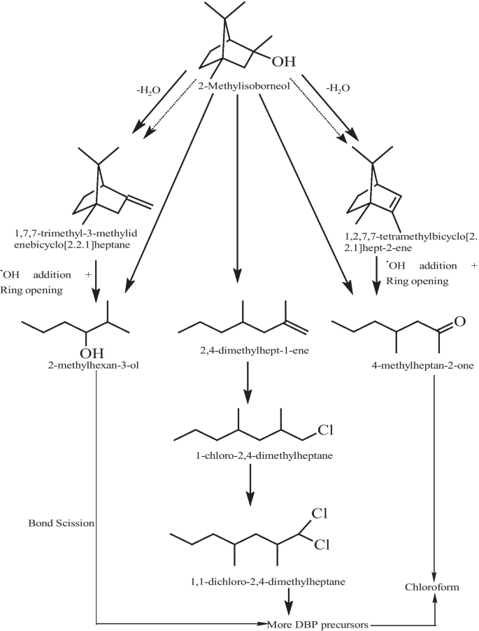 A Critical Review On Geosmin And 2 Methylisoborneol In Water Sources Effects Detection And Removal Techniques Springerlink