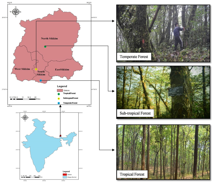 PDF) Trend of studies on carbon sequestration dynamics in the Himalaya  hotspot region: A review