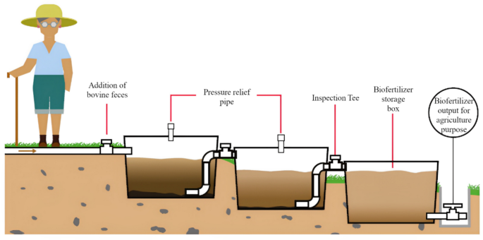 Risk assessment of a septic tank variant used for the blackwater ...