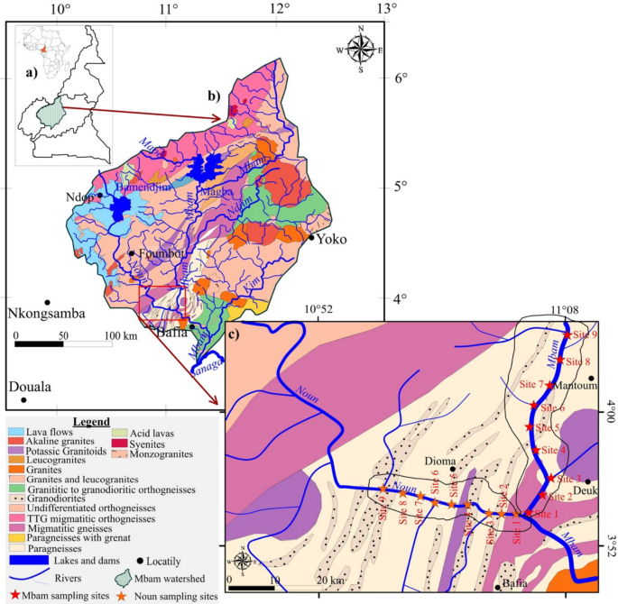 Assessment of heavy metal contamination and ecological risk in alluvial ...