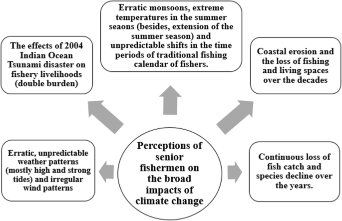Exploring Fishermen S Local Knowledge And Perceptions In The Face Of Climate Change The Case Of Coastal Tamil Nadu India Springerlink