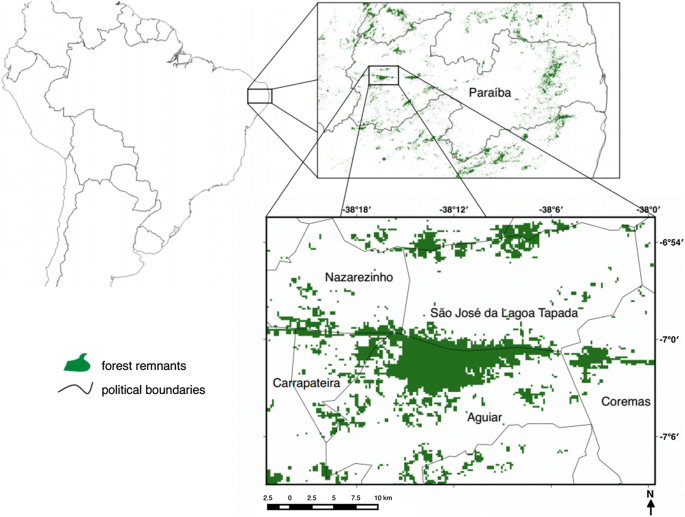 Understanding The Use Of Wild Birds In A Priority Conservation Area Of Caatinga A Brazilian Tropical Dry Forest Springerlink