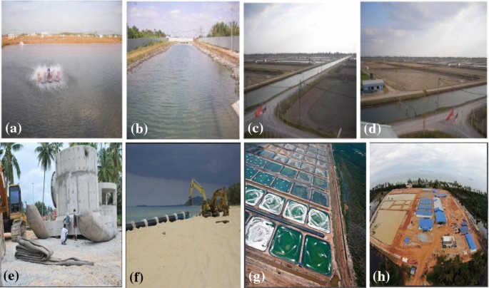 A system dynamics model for analysing the eco-aquaculture system 