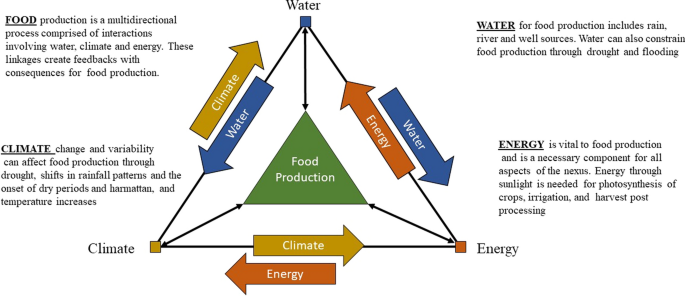 Water Food Energy Climate Nexus And Technology Productivity A Nigerian Case Study Of Organic Leafy Vegetable Production Springerlink Water Food Energy Climate Nexus And Technology Productivity A Nigerian Case Study Of Organic Leafy Vegetable Production Springerlink