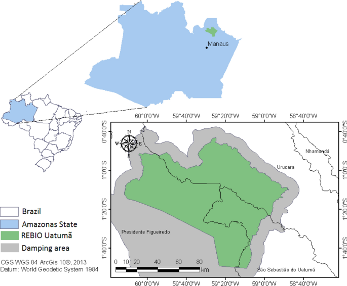 PDF) Guide to the Marantaceae of Reserva Ducke and Rebio Uatumã