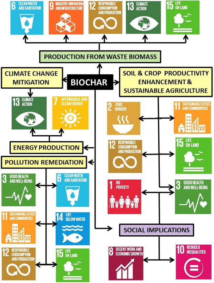 Biochar: a sustainable solution | SpringerLink