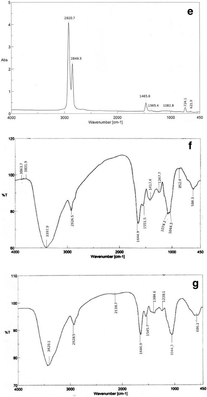 Biodegradation of low-density polyethylene (LDPE) using the mixed culture  of Aspergillus carbonarius and A. fumigates | SpringerLink