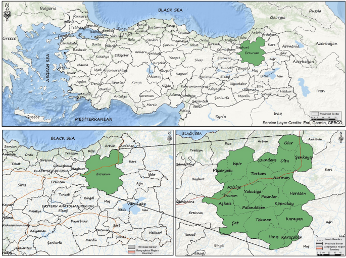 sustainable development goals assessment of erzurum province with swot ahp analysis springerlink