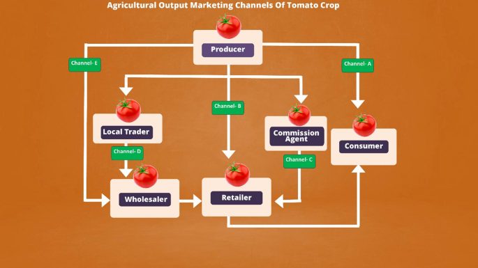 Determinants of farmers' choice for agricultural output marketing channels  of tomato (Solanum lycopersicum): an empirical evidence from north-western  Himalayan region | Environment, Development and Sustainability