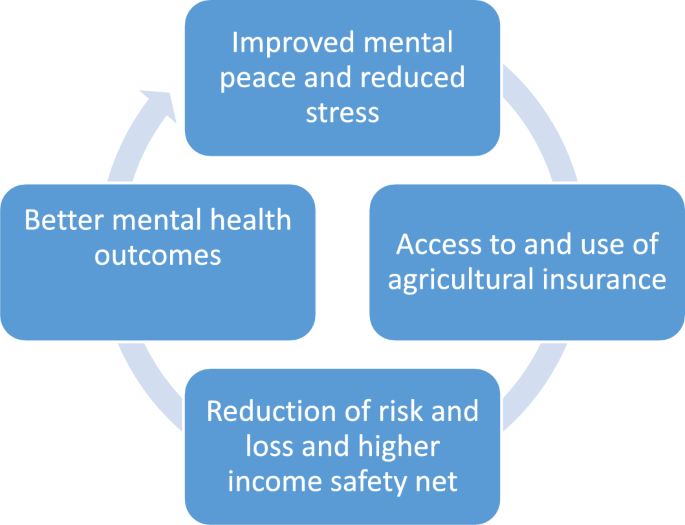 The impact of agricultural insurance on farmers’ mental health: what we ...