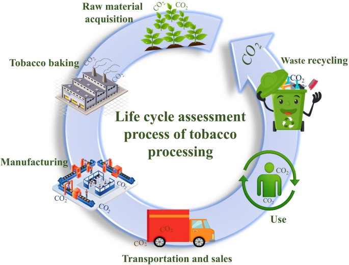 tobacco manufacturing process Carbon accounting methods and carbon-reduction technologies in the tobacco  industry: a comprehensive review from a full life cycle perspective |  Environment, Development and Sustainability