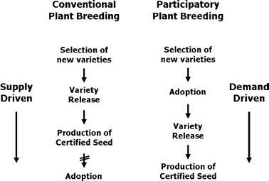 Decentralized-participatory plant breeding: an example of demand driven  research | SpringerLink