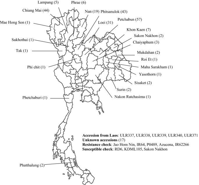 New Sources Of Rice Blast Resistance Obtained From Thai Indigenous Upland Rice Germplasm Springerlink