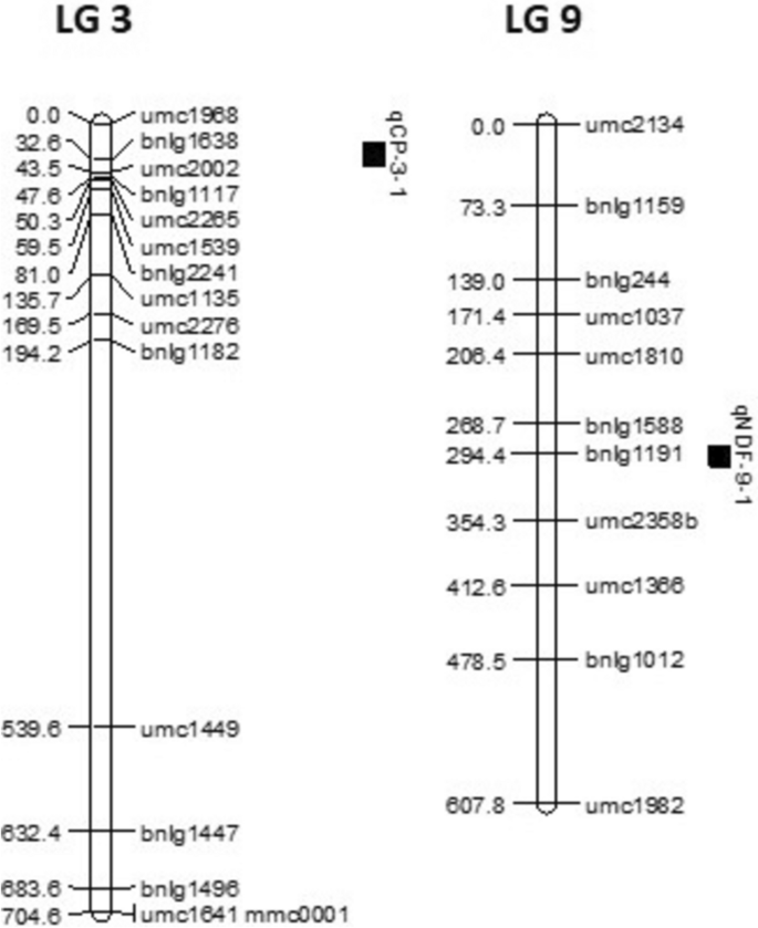 Mapping of quantitative trait loci associated with fodder quality ...